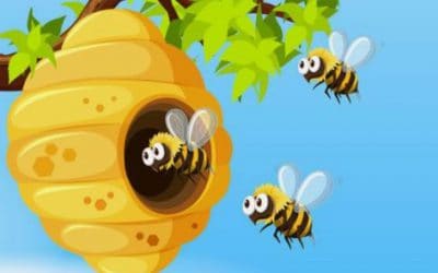 ประโยชน์จากน้ำผึ้งที่ดีต่อร่างกาย