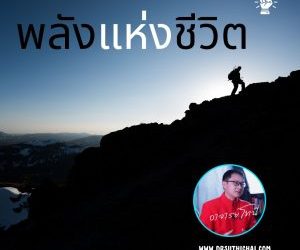 พลังของชีวิต