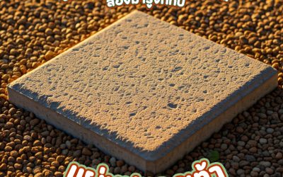 หาไอเดียตกแต่งสวนและบ้าน ลองมารู้จักกับแผ่นปูทางเท้า