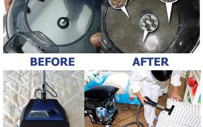 เครื่องกำจัดไรฝุ่น: สิ่งสำคัญที่ควรรู้เพื่อสุขภาพและความสะอาดในบ้าน