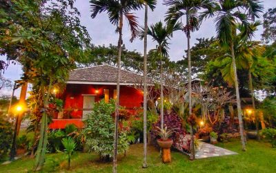 homestays in nature at chiangmai