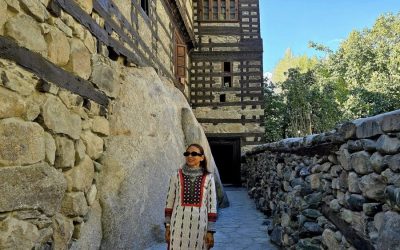 ลักษณะทางเศรษฐกิจของปากีสถาน