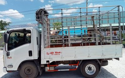 เคล็ดลับการเลือกบริษัทรับจ้างขนของกรุงเทพ ให้ปลอดภัยและไม่โดนโกง