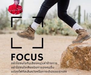 อย่าไปสนใจกับเสียงหมาเห่าข้างทางอย่าไปสนใจเสียงนินทาของคนอื่นแต่จงโฟกัสเส้นทางหรือทางเดินของเราเอง