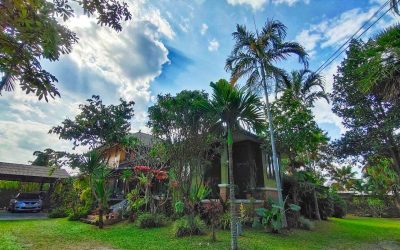 Why Staying at a Homestay in Chiang Mai Creates a More Meaningful Travel Experience