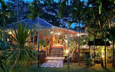 The Search for the Best Homestay in Chiang Mai