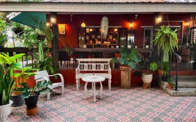What Makes the Best Homestay in Chiang Mai Stand Out?