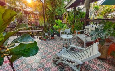 Why This is the Best Homestay in Chiang Mai