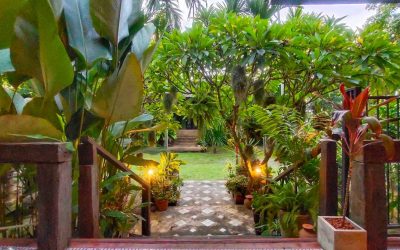 Why This Might Be the Best Homestay in Chiang Mai