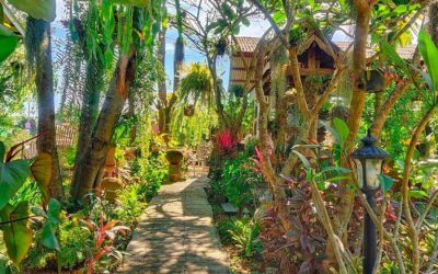 The Magic of Choosing a Homestay in Chiang Mai
