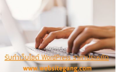 รับทำเว็บไซต์ WordPress ราคาประหยัด ทางเลือกสำหรับธุรกิจที่ต้องการเว็บไซต์คุณภาพในงบที่เหมาะสม