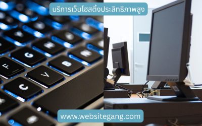 บริการเว็บโฮสติ้งประสิทธิภาพสูง เลือก Hosting อย่างไรให้เว็บไซต์เร็ว เสถียร และรองรับธุรกิจ